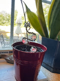 Pink Glow Garden Stake